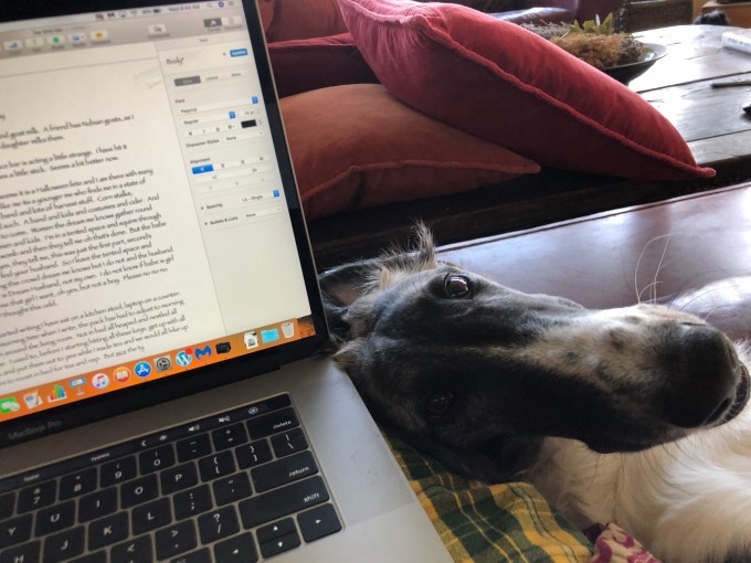 jrhszEvoTNW4p8Az0vJIWQ