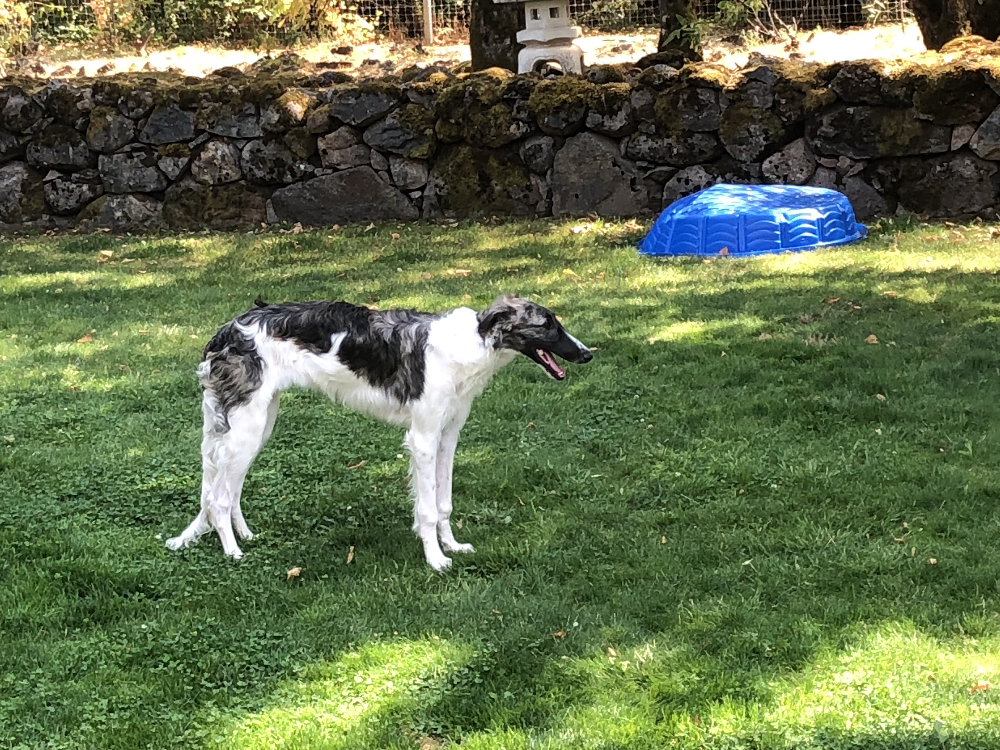 LgP+iGRcTZmVsJhUUCybfA