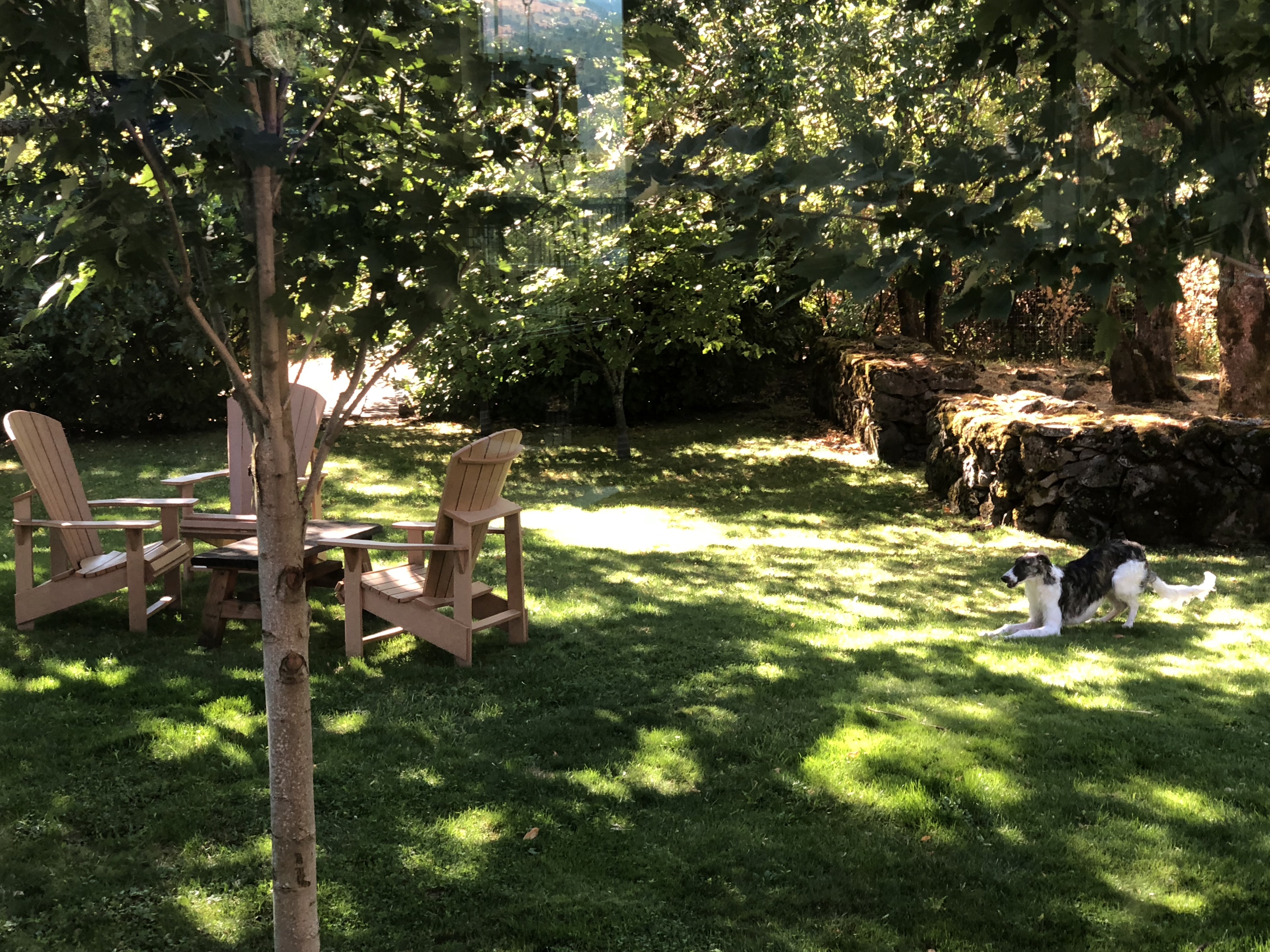 NDjxHlAZQp6GcTRMDsV3Ew