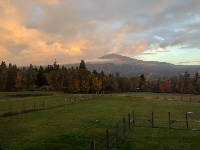 Gf2gtZWxQd+9lg24MHJ1sQ